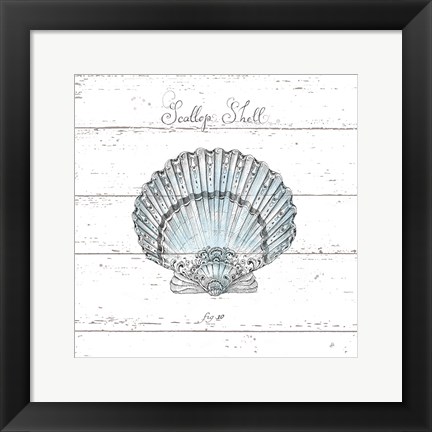 Framed Aqua Underwater Life VIII Shiplap Print