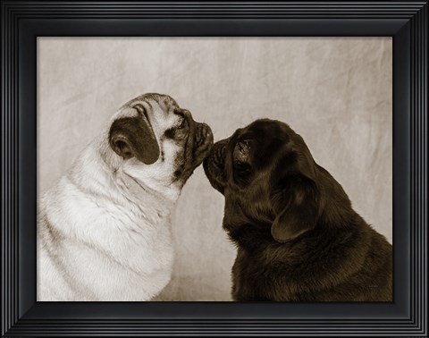 Framed Pooch Smooch Print