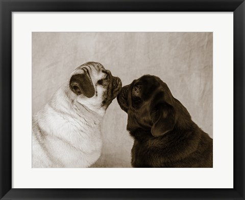 Framed Pooch Smooch Print