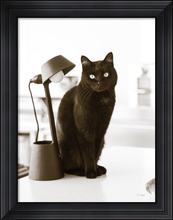 Framed Lights Cat Action Print