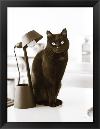 Framed Lights Cat Action Print