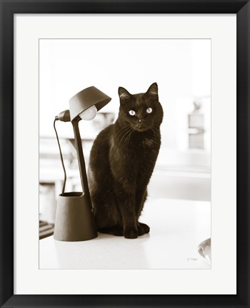 Framed Lights Cat Action Print