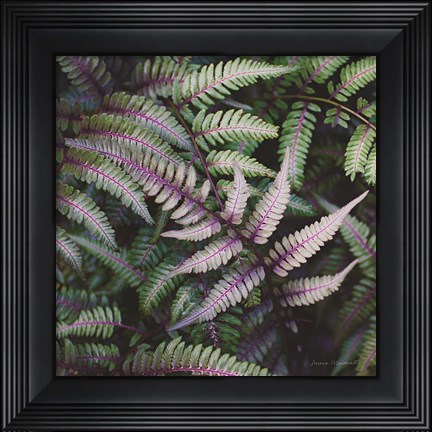 Framed Funky Ferns VI Print