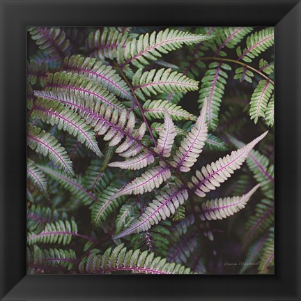 Framed Funky Ferns VI Print