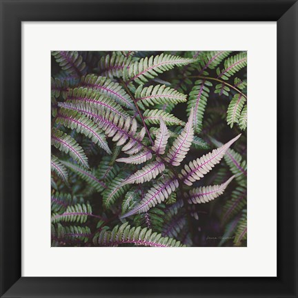 Framed Funky Ferns VI Print