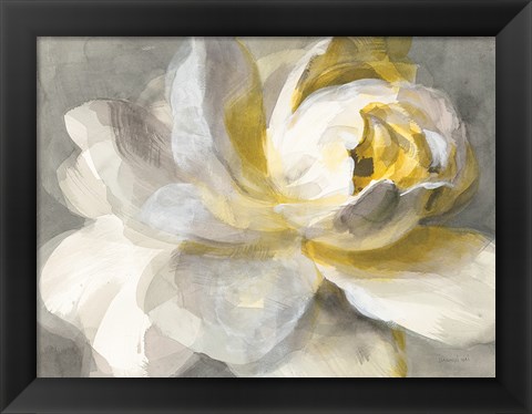 Framed Abstract Rose Print