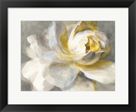 Framed Abstract Rose Print