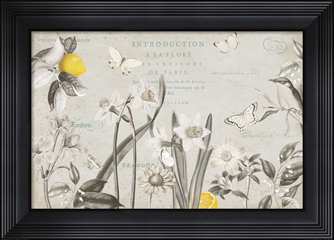 Framed Citron Curiosities I Gray Print