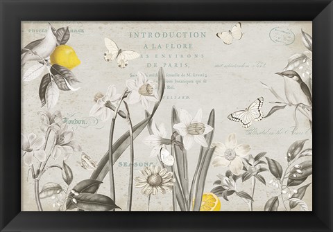 Framed Citron Curiosities I Gray Print