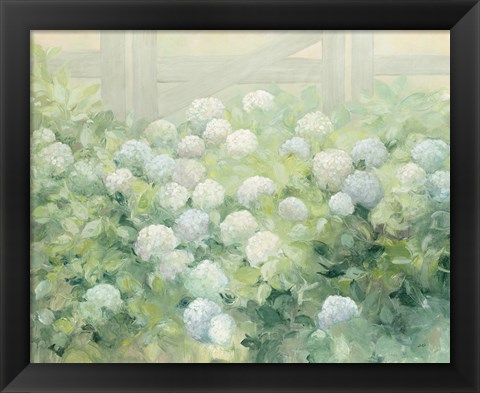 Framed Hydrangea Lane Print