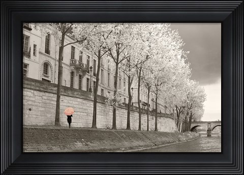 Framed Paris in the Rain III Print
