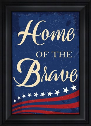 Framed Americana I Print