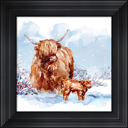 Framed Highland Cow &amp; Calf Print