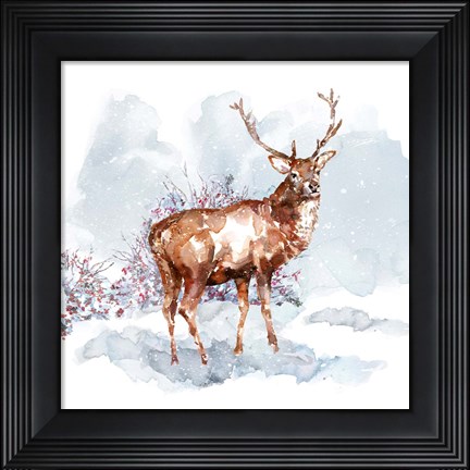 Framed Stag Print