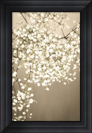 Framed Still Life Floral Print