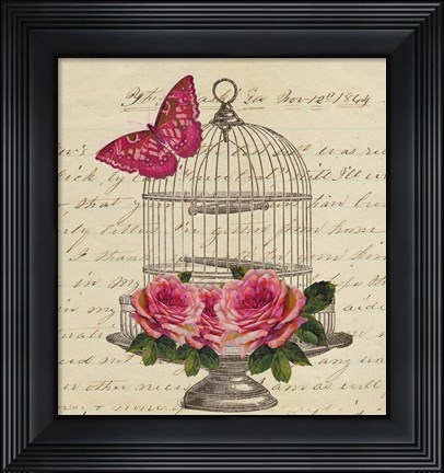 Framed Birdcage and Butterfly Print