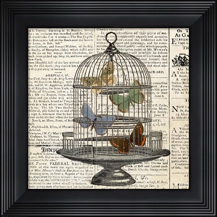 Framed Butterflies in Birdcage Print