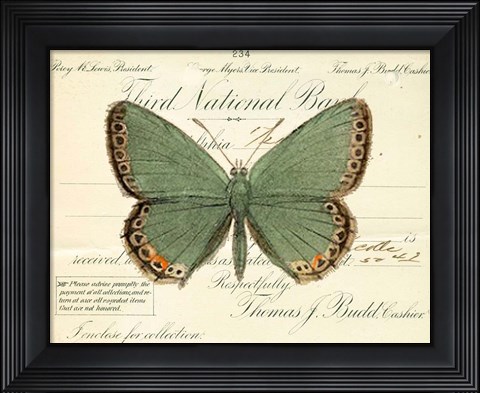 Framed Butterfly Green Print