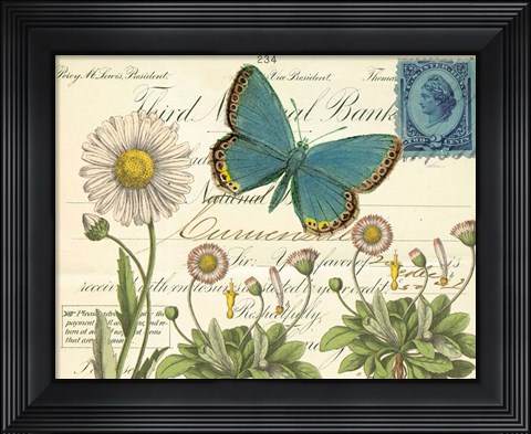 Framed Turquoise Butterfly and Daisies Print