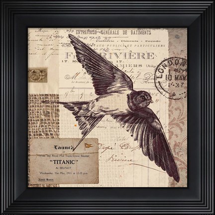Framed Swallow Stamp Print
