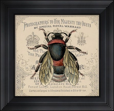 Framed Red Bee Print