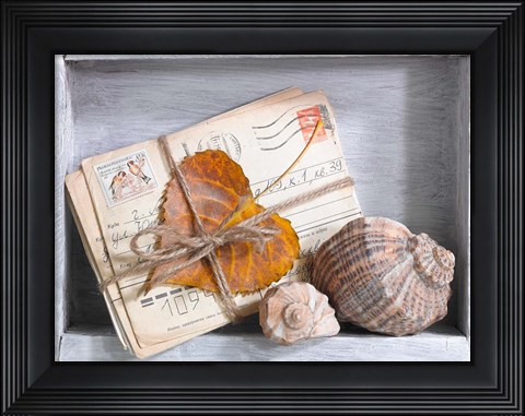 Framed Letters &amp; Shells Print