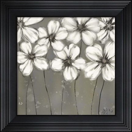 Framed Monochrome Daisies Print
