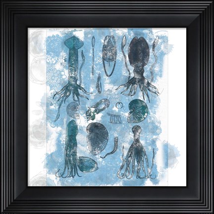 Framed Aquatic VII Print