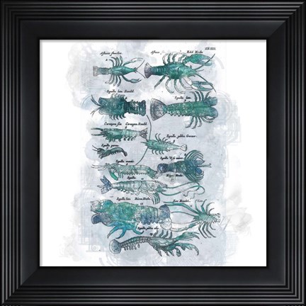 Framed Aquatic XI Print