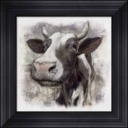 Framed Fresian Print