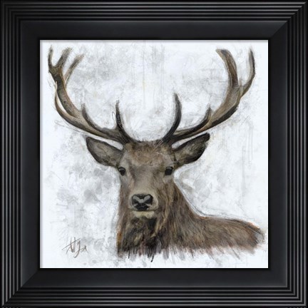 Framed Stag Print