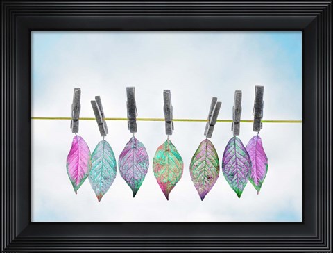 Framed Leaves on Clothes Line Print