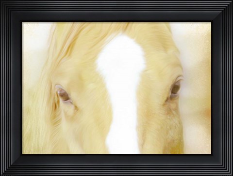 Framed Innocent Eyes of a Horse Print