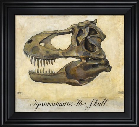 Framed Tyrannosaurus Rex Skull Print
