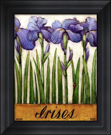 Framed Irises Print