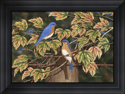 Framed Autumn Blues Print