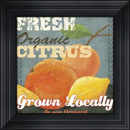 Framed Citrus Print