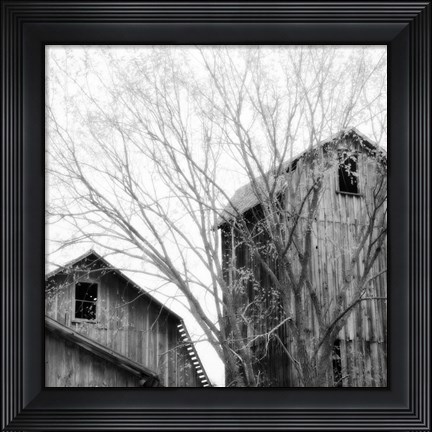 Framed Barn Windows Print
