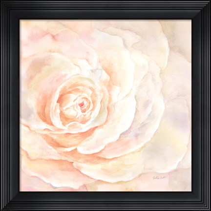 Framed Blush Rose Closeup I Print