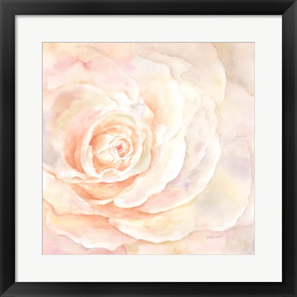 Framed Blush Rose Closeup I Print