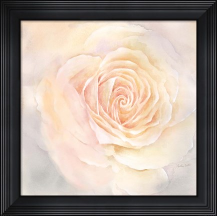Framed Blush Rose Closeup III Print