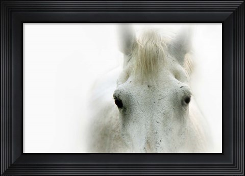 Framed Blanco Print