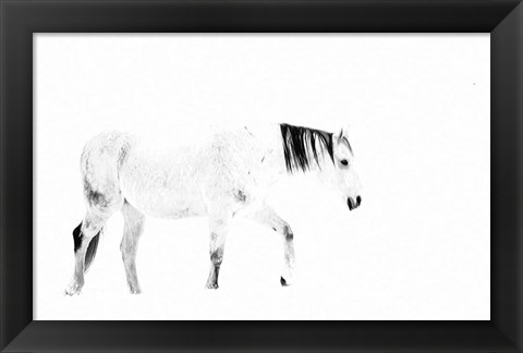 Framed Equine Print