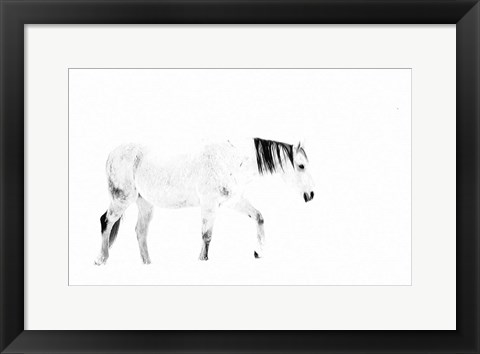 Framed Equine Print