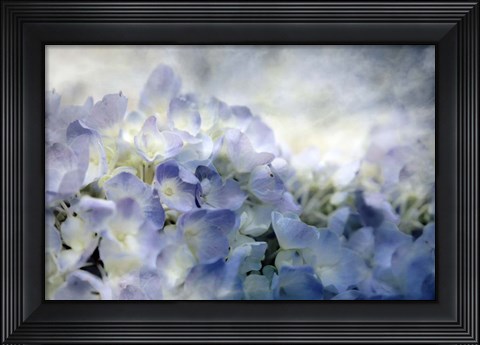 Framed Calm Print