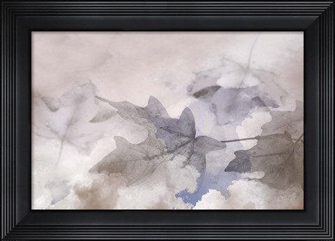 Framed Shadow Leaves Print
