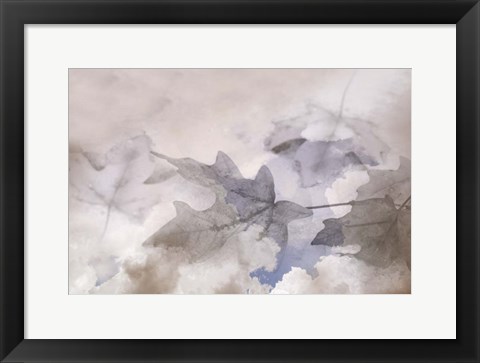 Framed Shadow Leaves Print