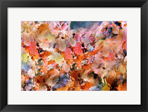 Framed Fall&#39;s Folly Print