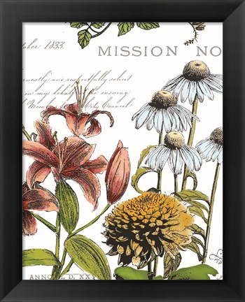 Framed Botanical Postcard Color II Print