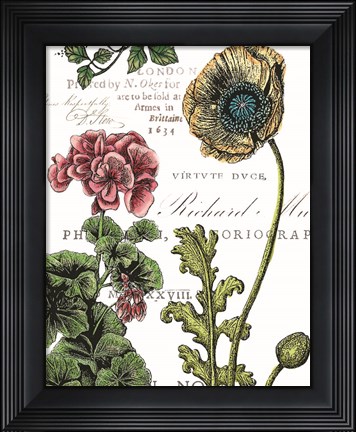 Framed Botanical Postcard Color III Print